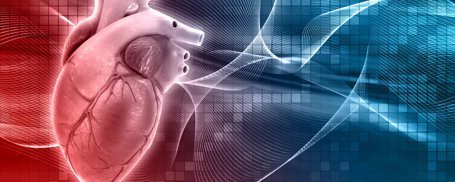 What You Need To Know About Heart Attacks: Prevention, Symptoms, And Gender Differences